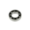 TKR1732 – Rear Bearing (steel, 21aM/aP/bM)